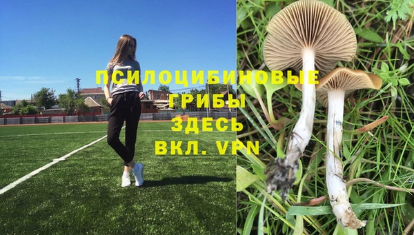 метамфетамин Алексеевка