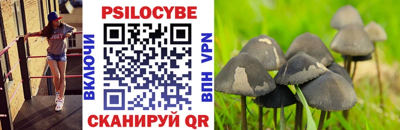 Галлюциногенные грибы GOLDEN TEACHER  Шадринск 